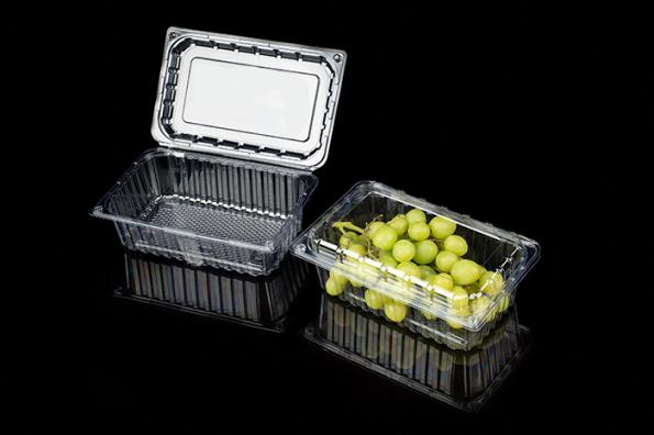 the Manufactures of Plastic Packaging Box