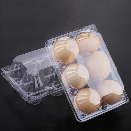  a Comprehensive Guide  To Egg Plastic Box