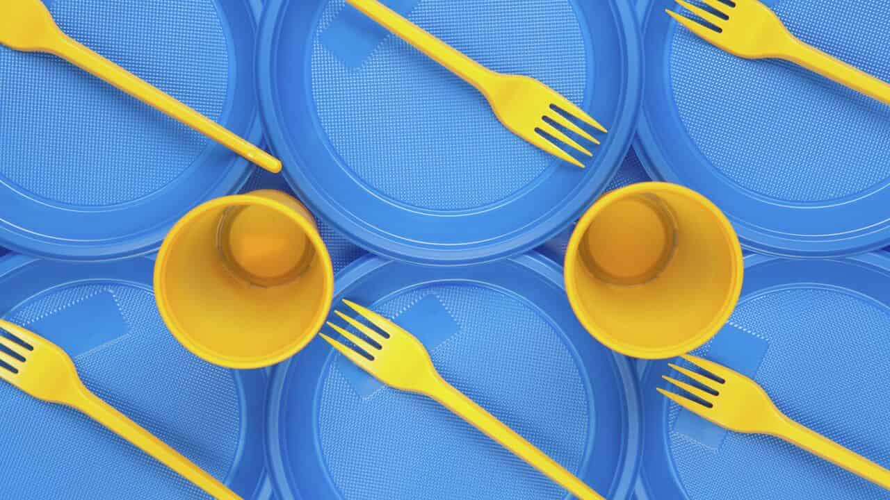  Buy Yellow plastic kitchenware + great price 